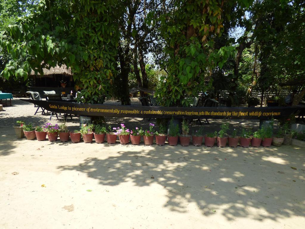 Chitwan Gaida Lodge Sauraha Exterior foto