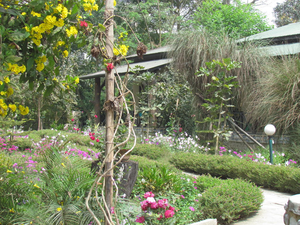 Chitwan Gaida Lodge Sauraha Exterior foto