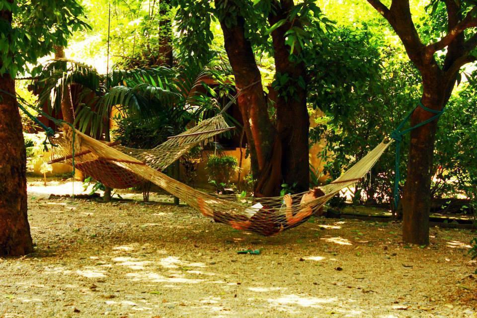 Chitwan Gaida Lodge Sauraha Exterior foto