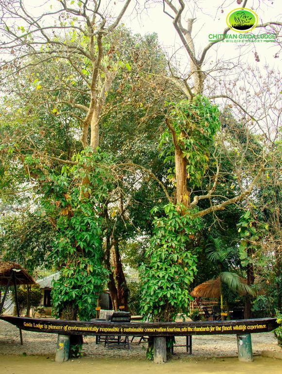 Chitwan Gaida Lodge Sauraha Exterior foto