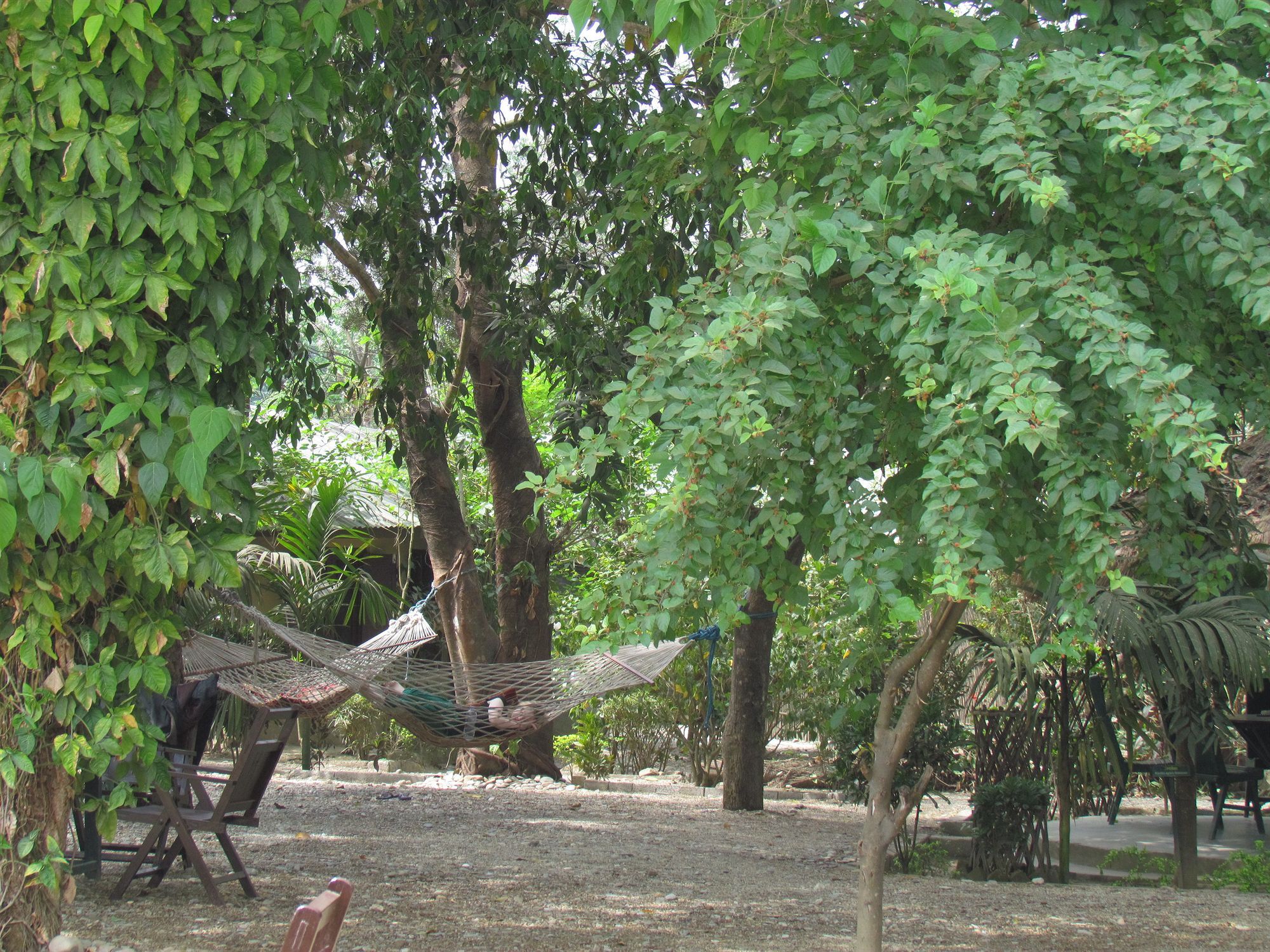 Chitwan Gaida Lodge Sauraha Exterior foto